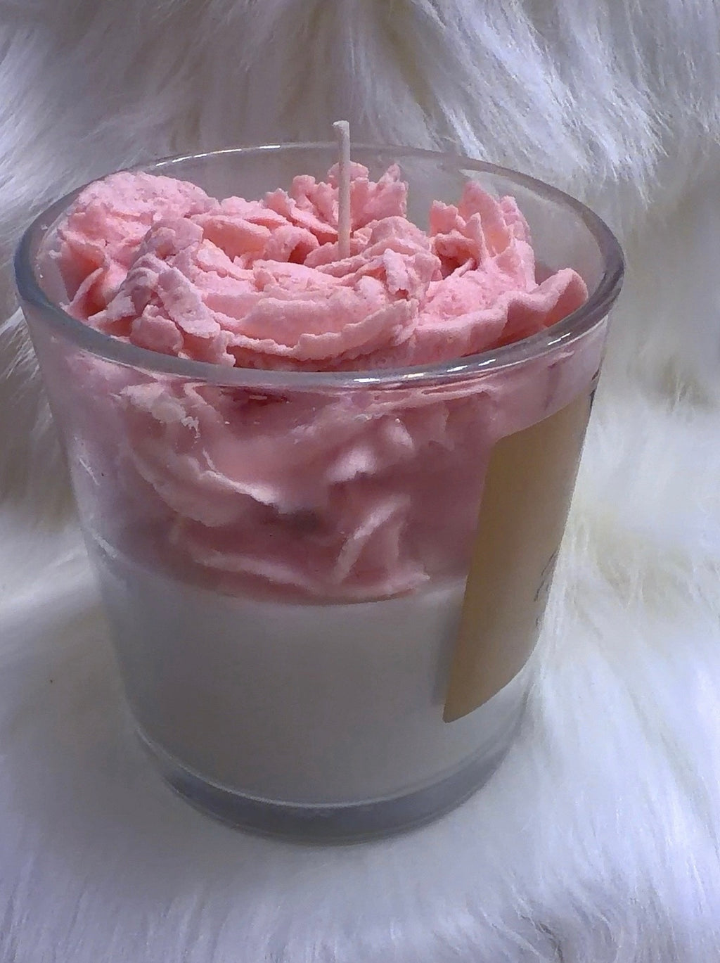 Vanilla bean